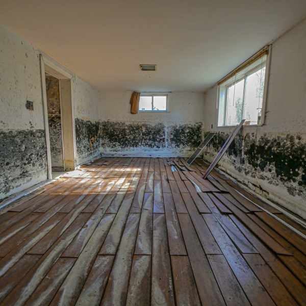 Flooded House with Mold